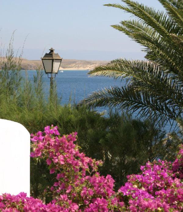 Villa Olga Πλάγια Μπλάνκα Εξωτερικό φωτογραφία